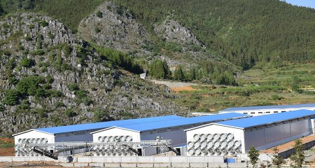 Компания Innovative Livestock Machinery Co. представляет революционную автоматизированную систему кормления для повышения эффективности и благополучия животных