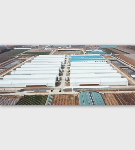 Стальная конструкция птичника