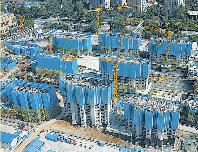 Семейный общественный проект Prunus Salicina