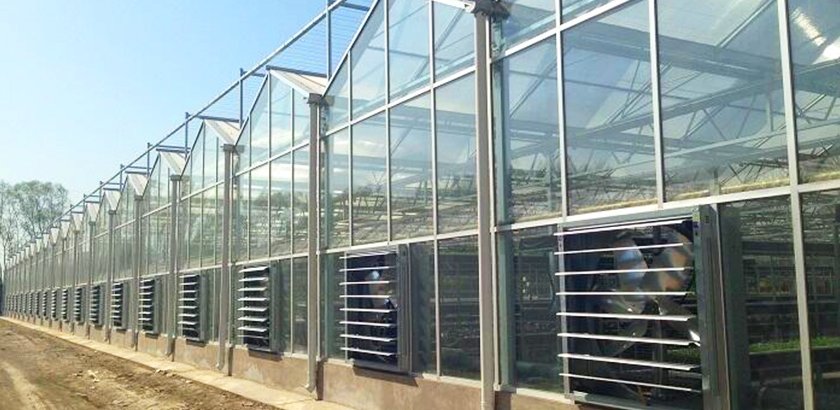 Вентиляторы Wanju с отрицательным давлением: улучшение современной жизни