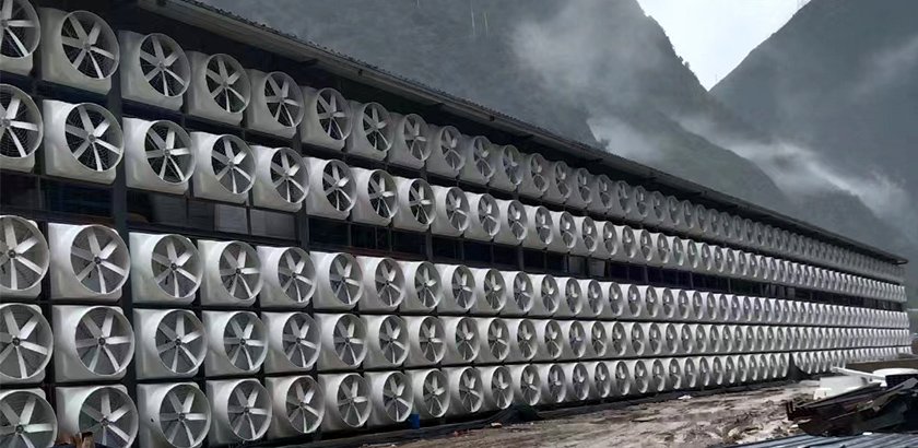 Системы вентиляции для крупномасштабного разведения: вентиляторные системы из стекловолокна.