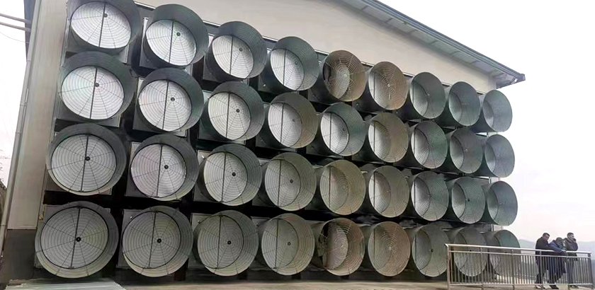 Проект модернизации системы вентиляции в помещениях для содержания скота и птицы.