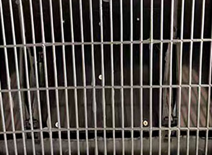 Защитная сетка