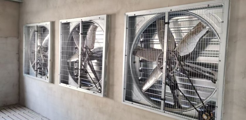 Мощные промышленные вытяжные вентиляторы: основное оборудование для вентиляции на птицефермах Бангладеш.