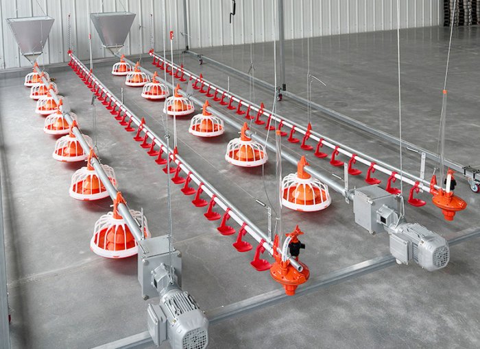 Автоматизированная система подачи цыплят