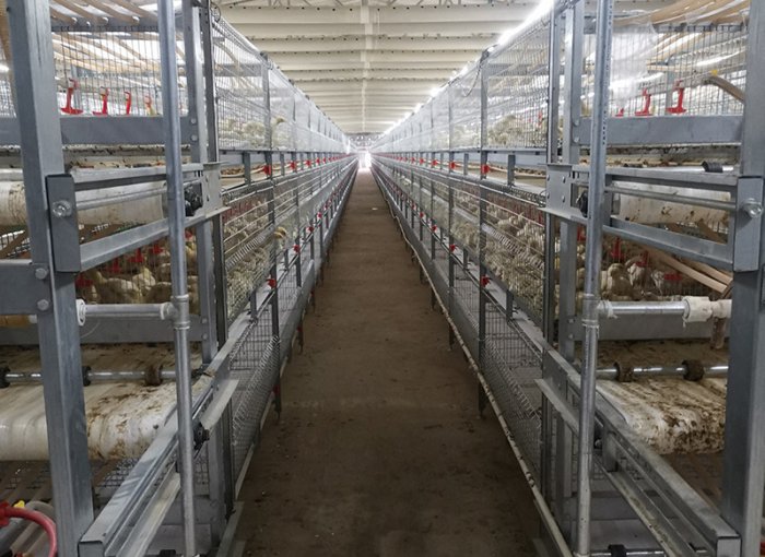 Автоматическое удаление навоза