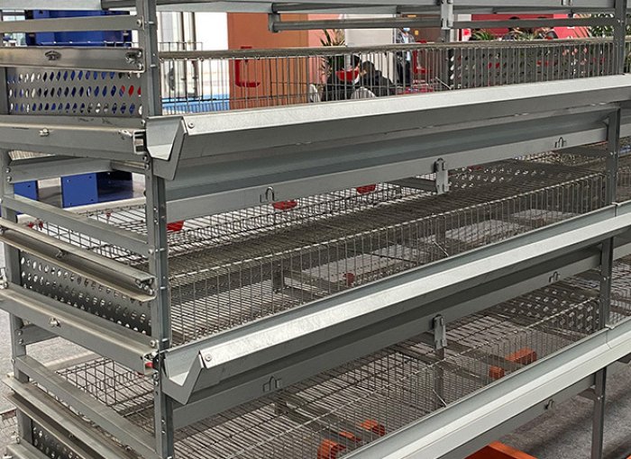 Сетка клетки