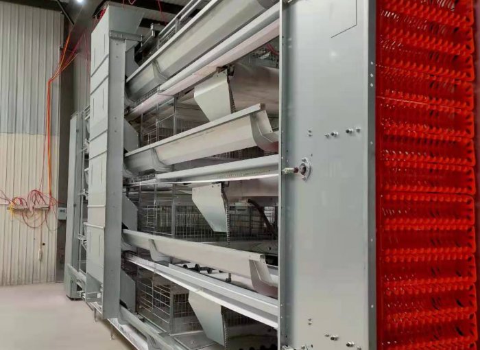 Полностью автоматизированное оборудование для птицеводства (курицы-несушки).