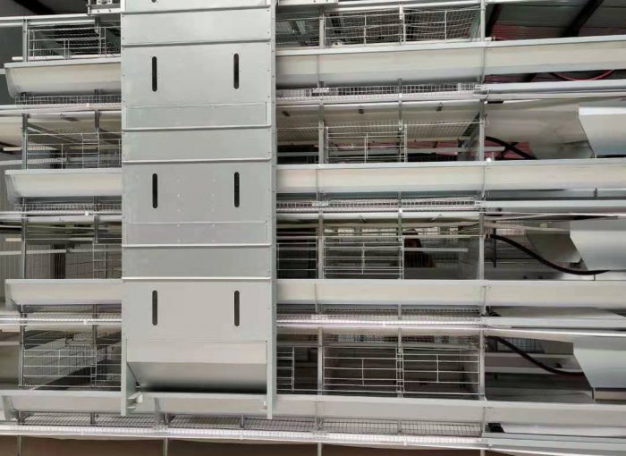 Общая структура​