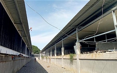 Свинарник — на Филиппинах