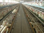 #_0000_亮度_对比度 2