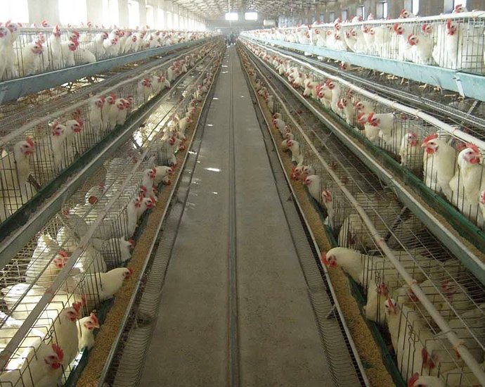 #_0000_亮度_对比度 2