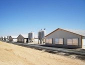 #_0003_鸡舍副图84