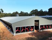 #_0006_亮度_对比度 1