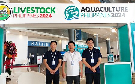 Наше путешествие на Филиппины