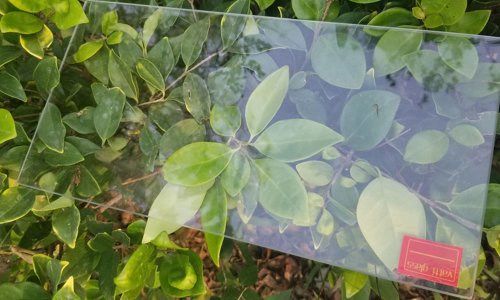 Китайский завод 2 мм 3,2 мм ультрапрозрачный поплавковый закаленный стеклянный фотоэлектрический задний панель