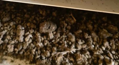 Manure air-drying equipment