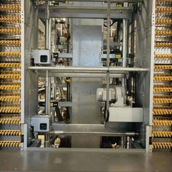 Введение в коллекционирование яиц