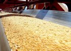 _0099_2023-12-06-07-13-16-OIL-RESISTANT-CONVEYOR-BELT-PHOTO-1