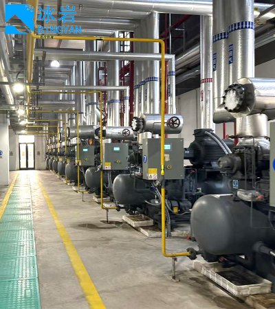 Компрессор фреонового CO2 Компрессор холодильного агрегата