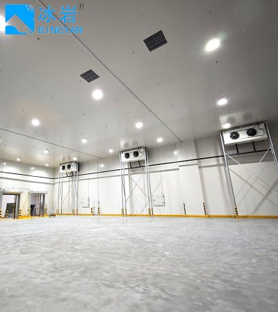 Охладитель Охлаждение Холодильное Хранение Морозильник Охладитель Холодильная Комната