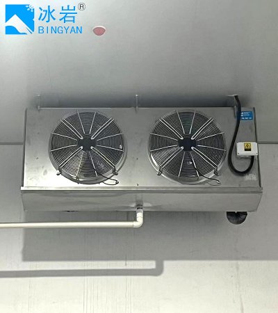 Индивидуальная холодильная камера с камерой шоковой заморозки Холодильная камера для логистического центра, завода по переработке пищевых продуктов Walk in Refrigeration