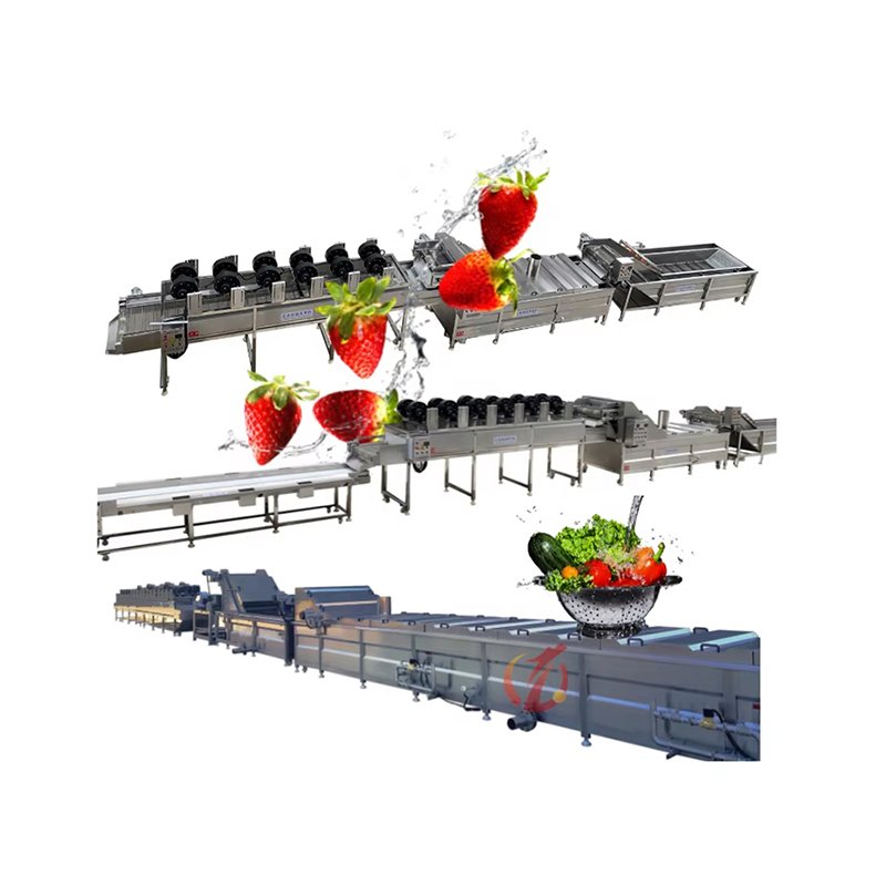 Линия по переработке фруктов и овощей. Основной технологический процесс производственной линии.