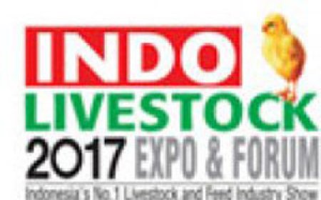 Письмо-приглашение - выставка и форум Indo Livestock 2017