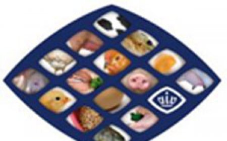 письмо-приглашение - v IV Thai 2017