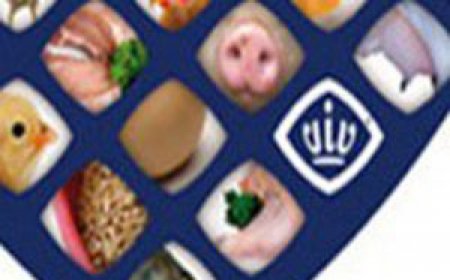 Письмо-приглашение - VIV CHINA 2016