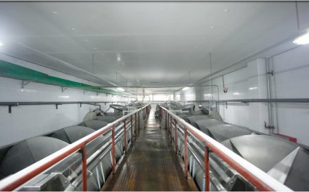 Секция предварительной обработки охлаждения - Wattelle Chilongling & dewatering