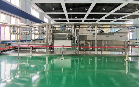 Ниша RA предварительно установленная готовая к использованию линия обработки до 1000 Б pH