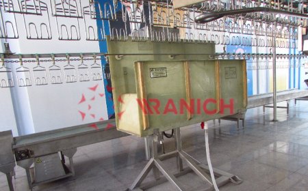 Оборудование для технологической линии убоя скота — оглушающее устройство