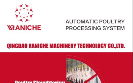 v IV выставка в Таиланде