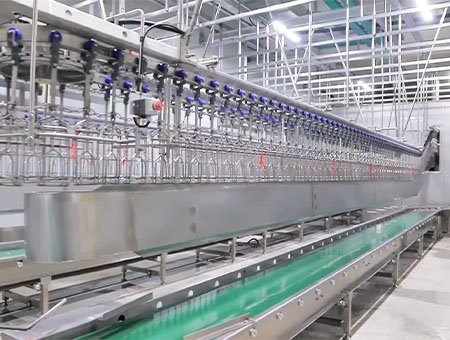 ОБРАБОТКА ЖИВЫХ ПТИЦ