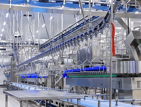 СОРТИРОВКА И УПАКОВКА