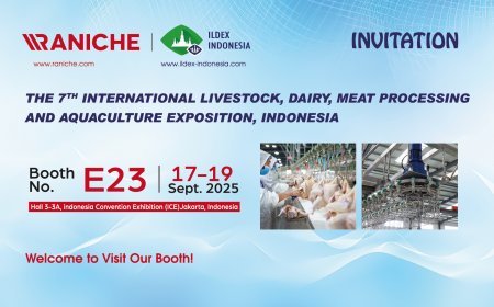 Qingdao Raniche выставит оборудование для убоя птицы на ILDEX Indonesia 2025