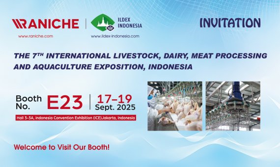 Qingdao Raniche выставит оборудование для убоя птицы на ILDEX Indonesia 2025