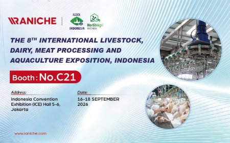 Qingdao Raniche выставит оборудование для убоя птицы на ILDEX Indonesia 2026