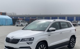 ŠKODA KAROQ 2020 TSI280 Intelligent Luxury Edition National VI