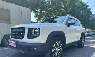 DARGO  2021 DCT 2WD Border Ranch Edition