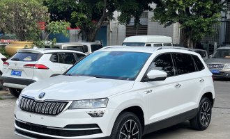 SKODA  KAROQ 2021 TSI280 Technology Edition
