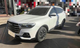 Haval H6  2021 National Trend Edition 1.5T Automatic Champion Version