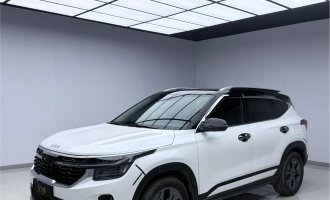 Kia Seltos, белый, 2023 г. выпуска, 1,5 л, CVT, версия «Люкс»