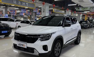 Kia Seltos 2023 года, белый с черной крышей (опция)