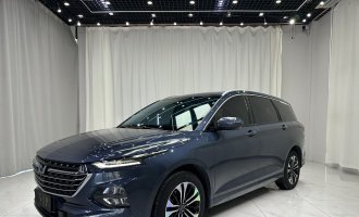  Wuling Auto Wuling Victory Blue 2020 model 1.5T CVT Supreme Edition