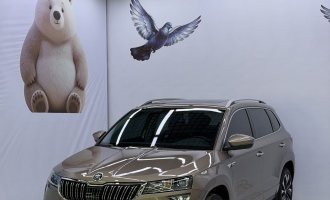 Skoda Karoq, коричневый цвет, 2023 модельный год, TSI280, люкс - версия