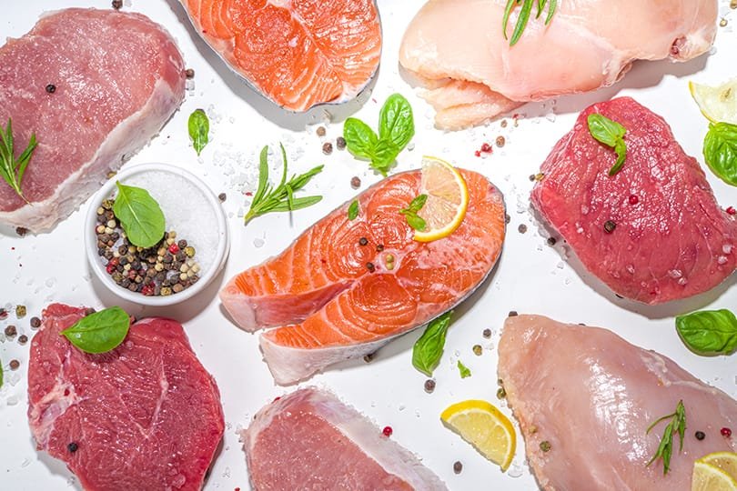 Переработка мяса и морепродуктов