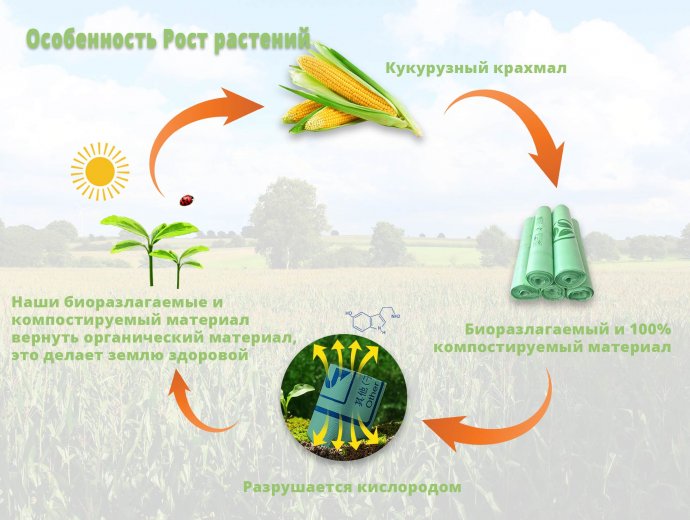 Компостируемые особенности