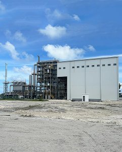 ПРОЕКТ МАСТЕРСКОЙ ПО РАСТЕНИЯМ НА МАЛЬДИВАХ